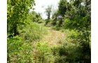 Property photo 3 - AUCTION CANCELLED TONIGHT!! SOLD Prior to Auction! 84+/- Acres Offered in 4 Tracts